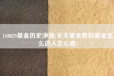 110029基金历史净值(天天基金我的基金怎么进入怎么查)