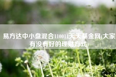 易方达中小盘混合110011天天基金网(大家有没有好的理财方式)