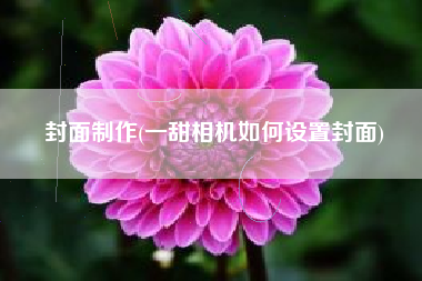 封面制作(一甜相机如何设置封面)