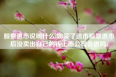 股票退市说明什么(如买了退市股票退市后没卖出自己的钱上市公司会退吗)