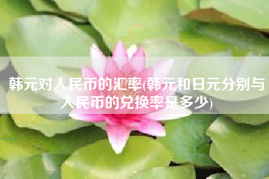 韩元对人民币的汇率(韩元和日元分别与人民币的兑换率是多少)