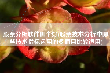 股票分析软件哪个好(股票技术分析中哪些技术指标运用的多而且比较适用)