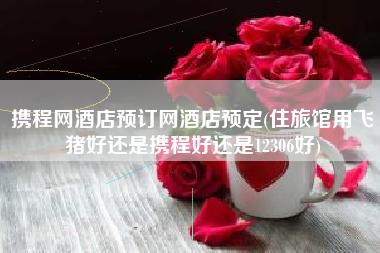 携程网酒店预订网酒店预定(住旅馆用飞猪好还是携程好还是12306好)