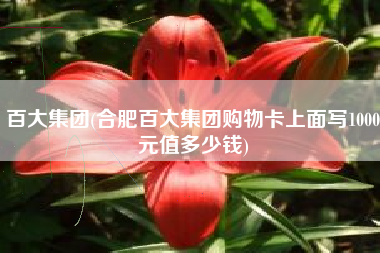 百大集团(合肥百大集团购物卡上面写1000元值多少钱)