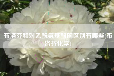 布洛芬和对乙酰氨基酚的区别有哪些(布洛芬化学)