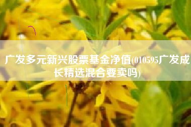 广发多元新兴股票基金净值(010595广发成长精选混合要卖吗)