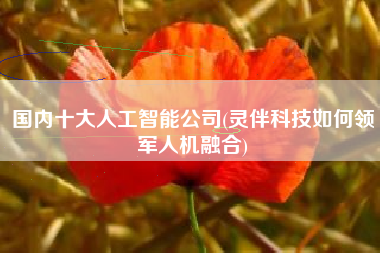 国内十大人工智能公司(灵伴科技如何领军人机融合)