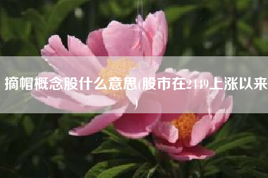 摘帽概念股什么意思(股市在2449上涨以来)