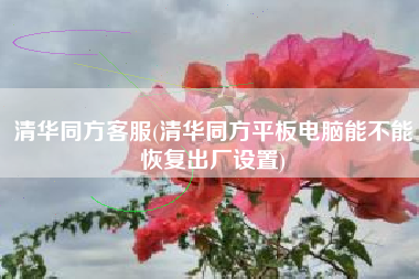 清华同方客服(清华同方平板电脑能不能恢复出厂设置)
