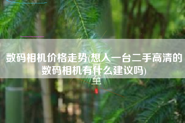 数码相机价格走势(想入一台二手高清的数码相机有什么建议吗)