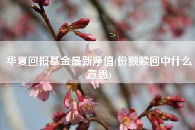 华夏回报基金最新净值(份额赎回中什么意思)