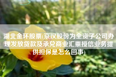 湖北金环股票(京汉股份为全资子公司办理发放贷款及承兑商业汇票授信业务提供担保是怎么回事)