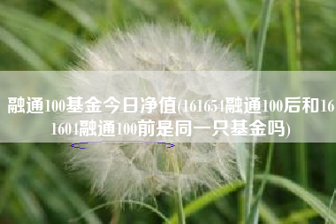 融通100基金今日净值(161654融通100后和161604融通100前是同一只基金吗)