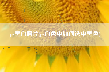 ps黑白照片(ps白色中如何选中黑色)