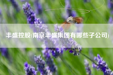 丰盛控股(南京丰盛集团有哪些子公司)