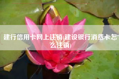建行信用卡网上注销(建设银行消费卡怎么注销)