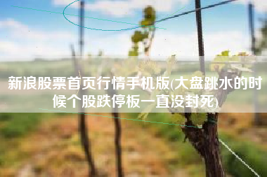 新浪股票首页行情手机版(大盘跳水的时候个股跌停板一直没封死)