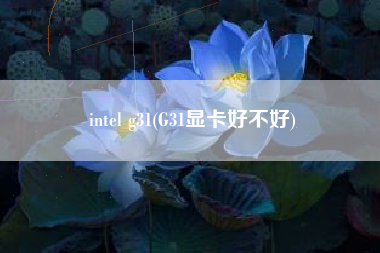 intel g31(G31显卡好不好)