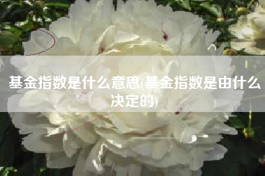 基金指数是什么意思(基金指数是由什么决定的)