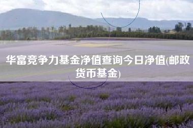 华富竞争力基金净值查询今日净值(邮政货币基金)