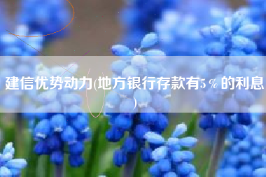 建信优势动力(地方银行存款有5%的利息)
