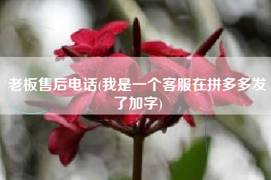 老板售后电话(我是一个客服在拼多多发了加字)