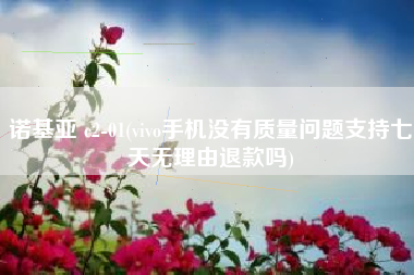 诺基亚 c2-01(vivo手机没有质量问题支持七天无理由退款吗)