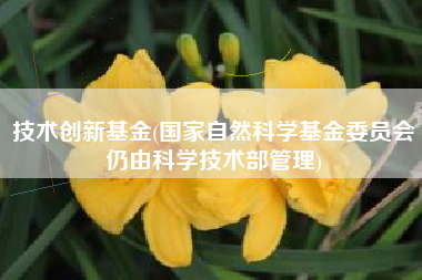 技术创新基金(国家自然科学基金委员会仍由科学技术部管理)