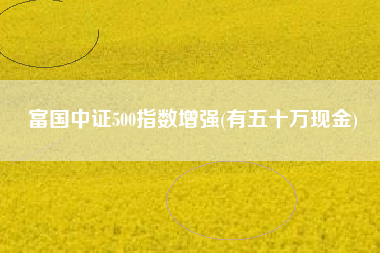 富国中证500指数增强(有五十万现金)