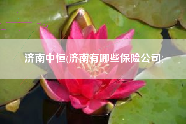 济南中恒(济南有哪些保险公司)