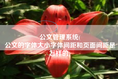 公文管理系统(
公文的字体大小字体间距和页面间距是怎样的) 公文管理系统(
公文的字体大小字体间距和页面间距是怎样的)