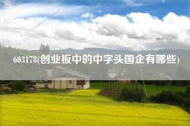 603178(创业板中的中字头国企有哪些)