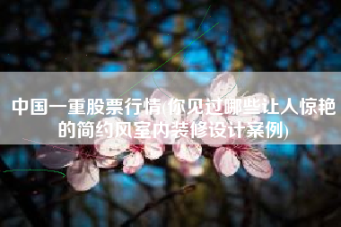 中国一重股票行情(你见过哪些让人惊艳的简约风室内装修设计案例)