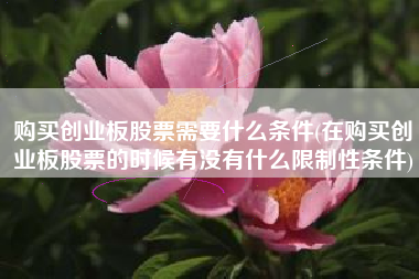 购买创业板股票需要什么条件(在购买创业板股票的时候有没有什么限制性条件)