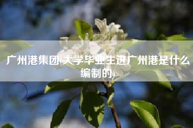 广州港集团(大学毕业生进广州港是什么编制的)