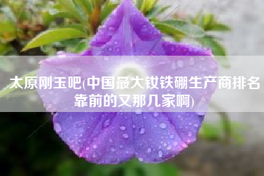 太原刚玉吧(中国最大钕铁硼生产商排名靠前的又那几家啊)