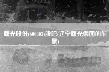曙光股份(600303)股吧(辽宁曙光集团的前景)