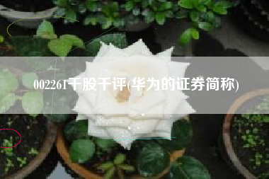 002261千股千评(华为的证券简称)