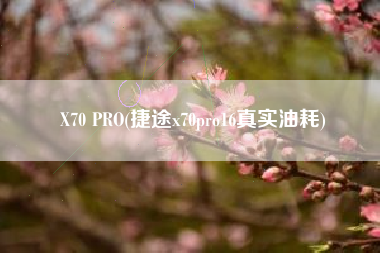 X70 PRO(捷途x70pro16真实油耗)