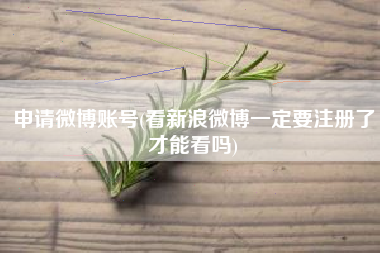 申请微博账号(看新浪微博一定要注册了才能看吗)