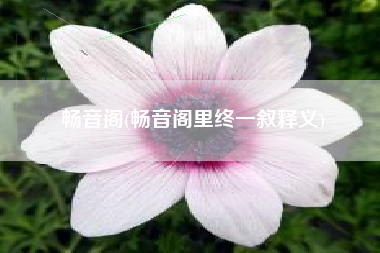 畅音阁(畅音阁里终一叙释义)