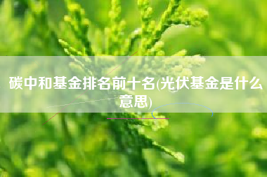 碳中和基金排名前十名(光伏基金是什么意思)