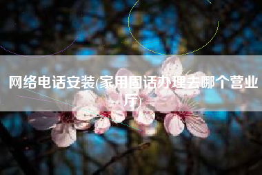 网络电话安装(家用固话办理去哪个营业厅)