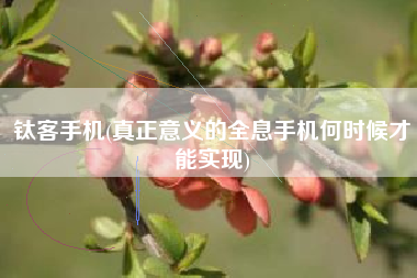 钛客手机(真正意义的全息手机何时候才能实现)