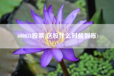600031股票(送股什么时候到账)