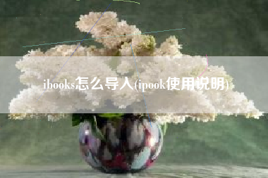 详细阅读:ibooks怎么导入(ipook使用说明) ibooks怎么导入(ipook使用说明)