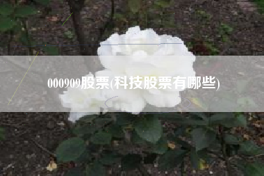 000909股票(科技股票有哪些)