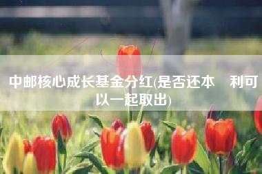 中邮核心成长基金分红(是否还本帯利可以一起取出)