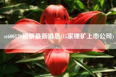 st600139股票最新消息(15家锂矿上市公司)