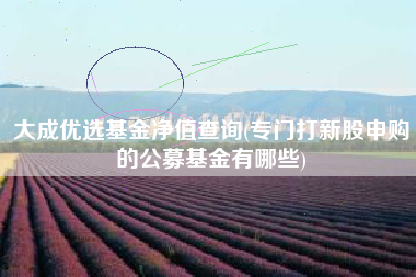 大成优选基金净值查询(专门打新股申购的公募基金有哪些)